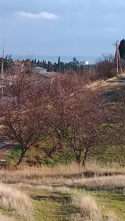 Участок в Крым, Алушта муниципальный округ, с. Малореченское ул. ... - Фото 2