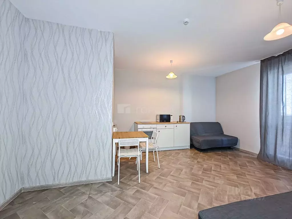 Студия Новосибирская область, Новосибирск ул. Кирова, 225 (33.6 м) - Фото 2