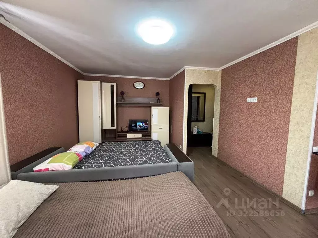 1-к кв. Московская область, Люберцы Южная ул., 5 (35.0 м) - Фото 1