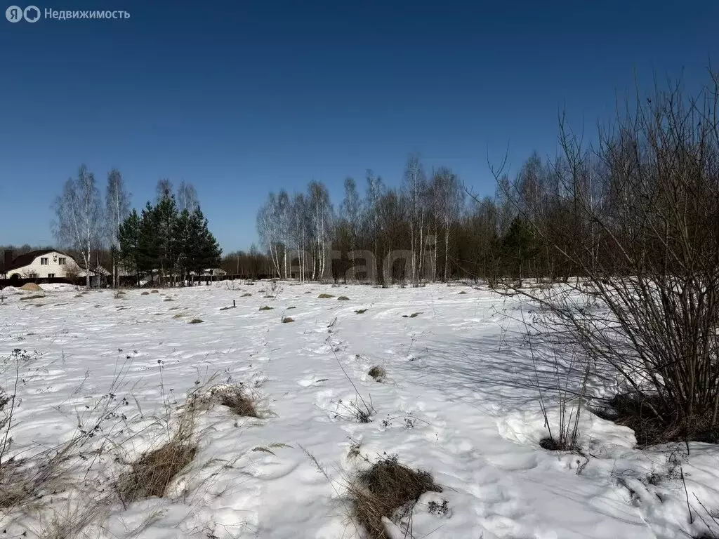 Участок в Дятьково, Овражная улица (10 м) - Фото 2