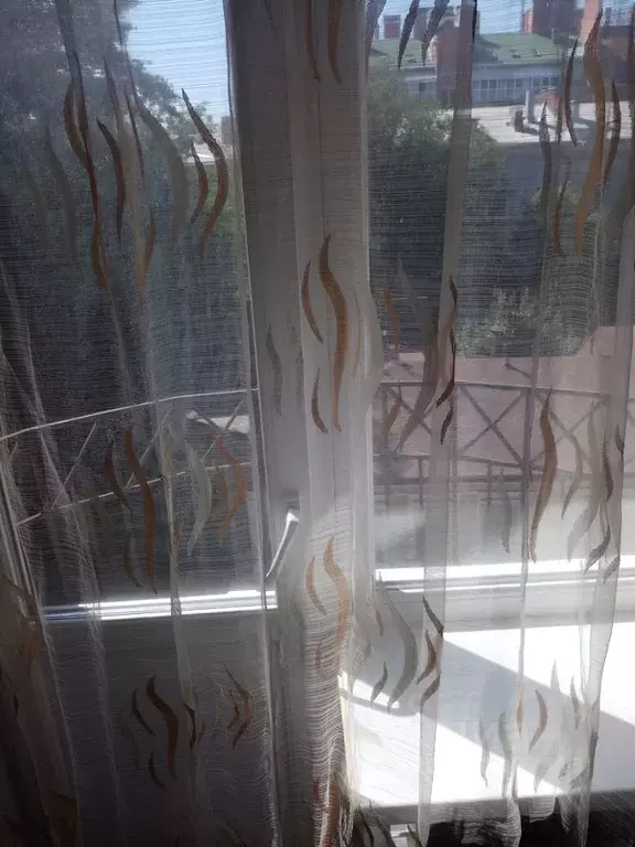 1-к кв. Ростовская область, Ростов-на-Дону Социалистическая ул., 91 ... - Фото 1