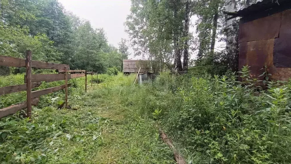 Участок в Челябинская область, Кыштымский городской округ, пос. ... - Фото 1