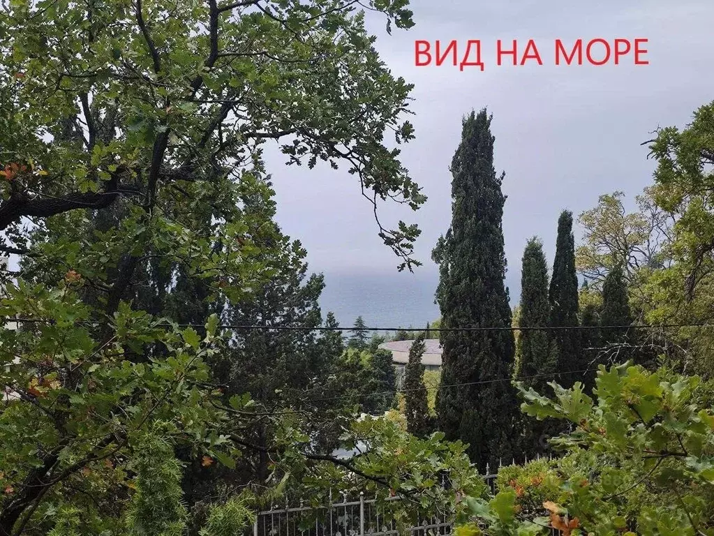 Участок в Крым, Ялта муниципальный округ, Кореиз пгт ш. Алупкинское ... - Фото 1