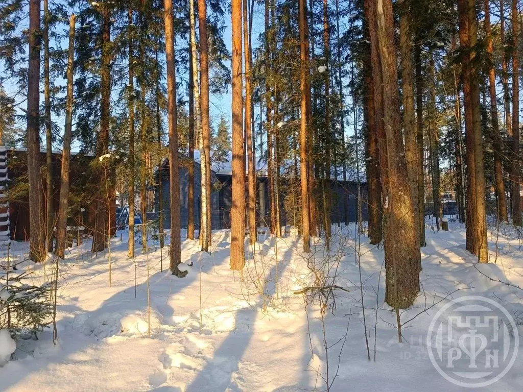 Участок в Ленинградская область, Всеволожский район, Сертоловское ... - Фото 0