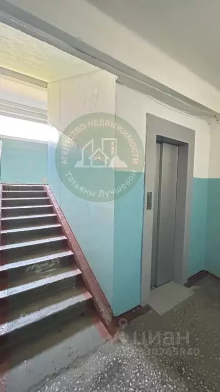 2-к кв. Алтайский край, Барнаул ул. Гущина, 160 (45.4 м) - Фото 2