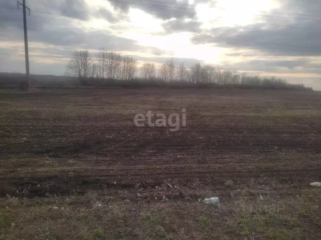 Участок в Белгородская область, Красногвардейский район, Новохуторное ... - Фото 0