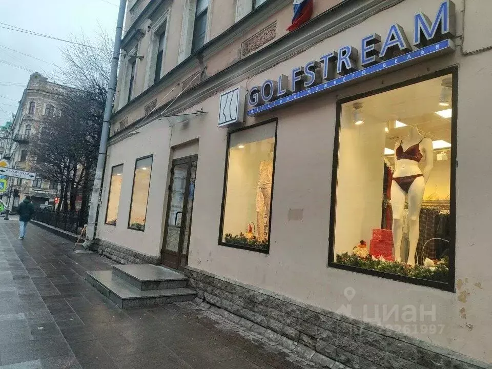 Помещение свободного назначения в Санкт-Петербург Суворовский просп., ... - Фото 2