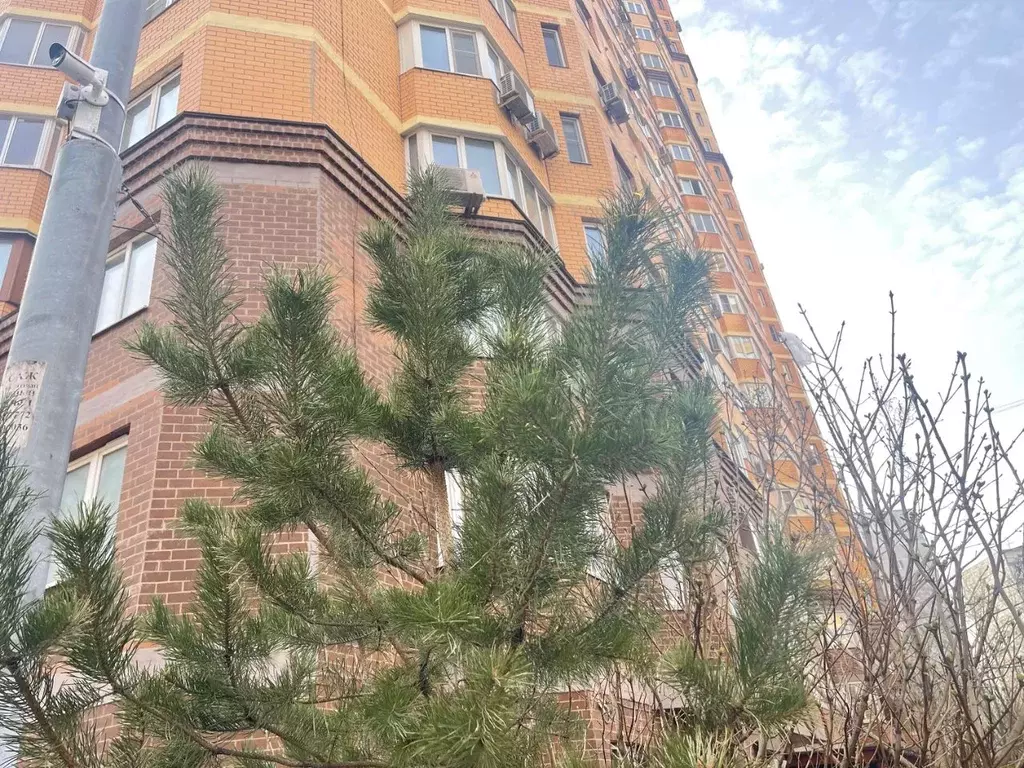 1-к кв. Московская область, Одинцово Садовая ул., 28 (50.0 м) - Фото 1