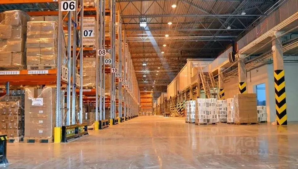 Склад в Санкт-Петербург пос. Шушары, Московское ш., 161к10 (9000 м) - Фото 2