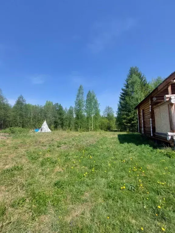 Участок в Пермский край, Пермь Микрорайон Голый мыс, ул. 1-я Полевая ... - Фото 2