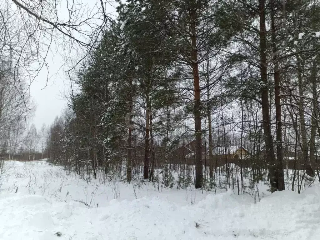 Участок в Ярославская область, Ярославский муниципальный округ, ... - Фото 2