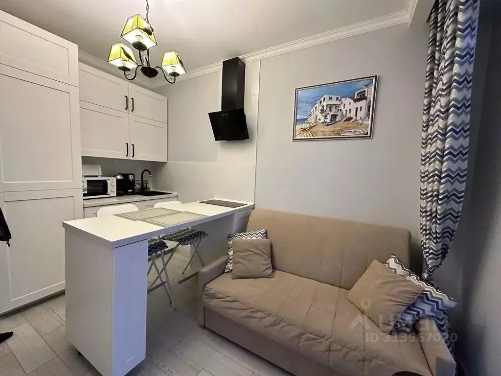 Студия Краснодарский край, Сириус пгт ул. Цветочная, 30 (30.0 м) - Фото 1