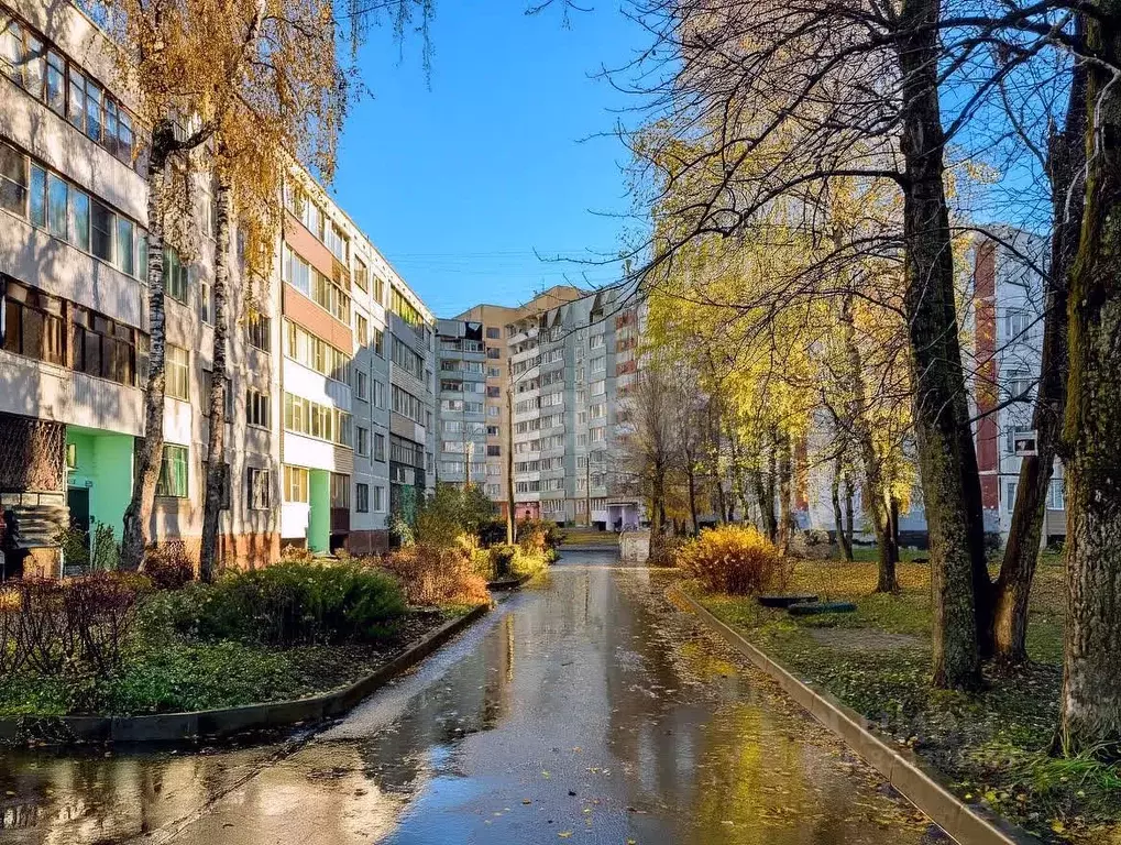 1-к кв. Псковская область, Псков Инженерная ул., 84 (32.9 м) - Фото 1