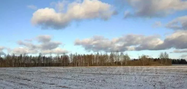 Участок в Московская область, Наро-Фоминский городской округ, д. ... - Фото 1