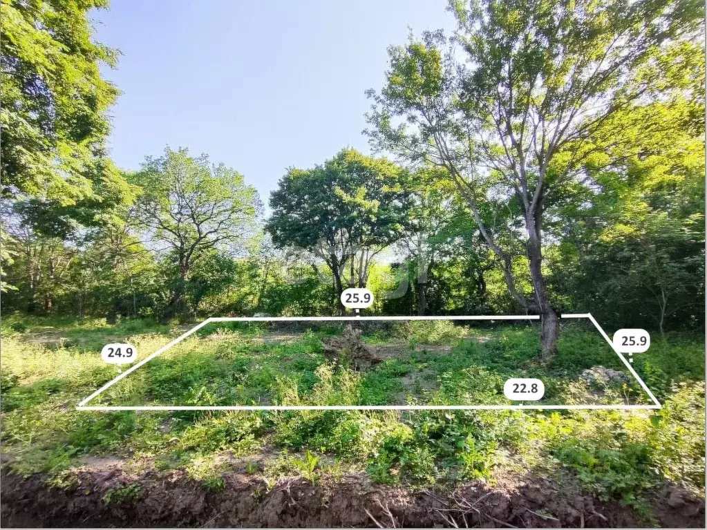 Участок в Крым, Симферопольский район, Добровское с/пос, с. ... - Фото 1