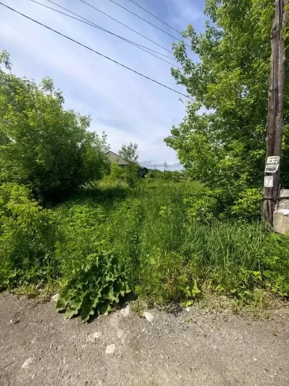 Участок в Алтай, Майминский район, с. Соузга Школьный пер. (13.0 сот.) - Фото 0