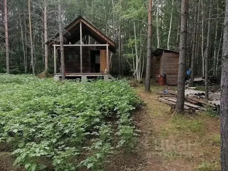 Участок в Иркутская область, Иркутский муниципальный округ, Минерал ... - Фото 1