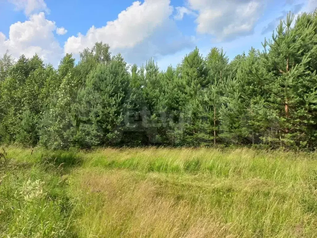 Участок 39 сот. (личное подсобное хозяйство (лпх)) - Фото 1