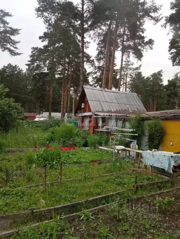 Дом в Свердловская область, Екатеринбург Шувакишский СНТ, 26 (20 м) - Фото 1
