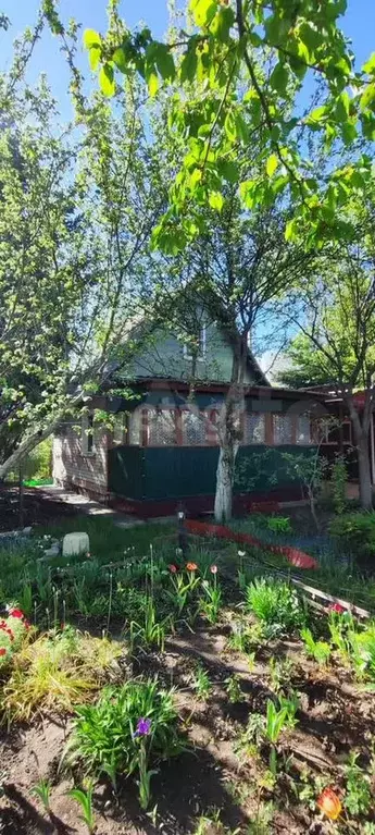 Дача 55,2 м на участке 6,3 сот. - Фото 0