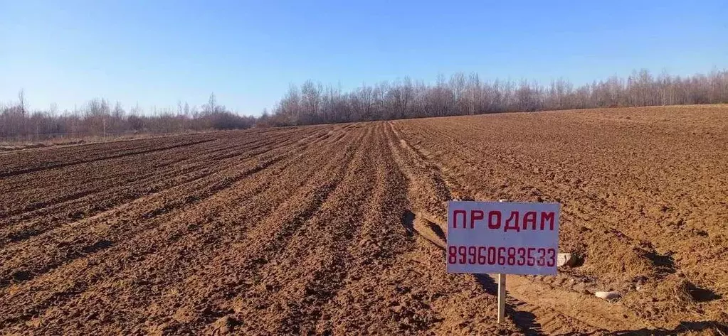 Участок в Новгородская область, Новгородский район, Ракомское с/пос, ... - Фото 1