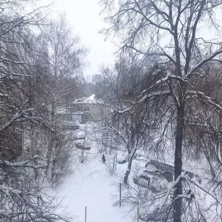 2-комнатная квартира: Рязань, район Приокский, улица Новикова-Прибоя, ... - Фото 1