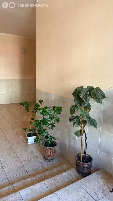 3-комнатная квартира: Барнаул, проспект Ленина, 103А/39 (128 м) - Фото 0