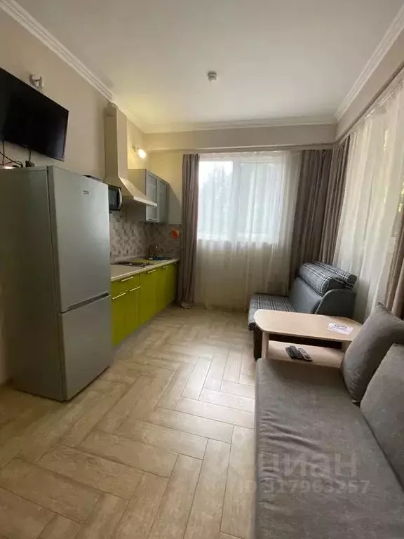 Студия Краснодарский край, Сириус пгт ул. Тюльпанов, 25 (20.0 м) - Фото 0