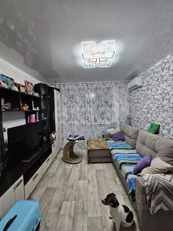 2-к кв. Красноярский край, Красноярск Транзитная ул., 44 (48.5 м) - Фото 2