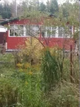 Дом в Ленинградская область, Гатчинский муниципальный округ, Чаща ... - Фото 2