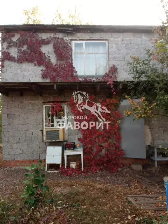 Дом в Оренбург, дачный массив Ростоши-3, СНТ Гейя (54.5 м) - Фото 2