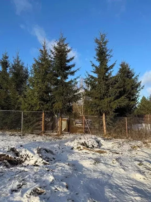 Участок в Московская область, Истра муниципальный округ, д. Дубровское ... - Фото 1