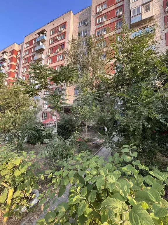 3-к. квартира, 54 м, 9/9 эт. - Фото 0