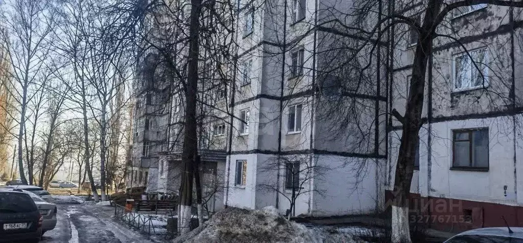 Комната Белгородская область, Белгород ул. Костюкова, 79/2 (16.0 м) - Фото 2