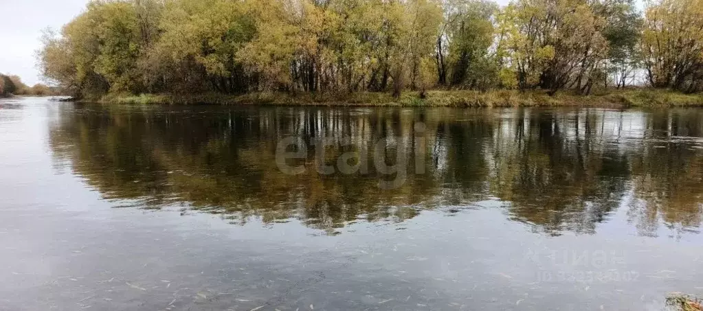 Участок в Камчатский край, с. Усть-Большерецк ул. Бочкарева (43.78 ... - Фото 1