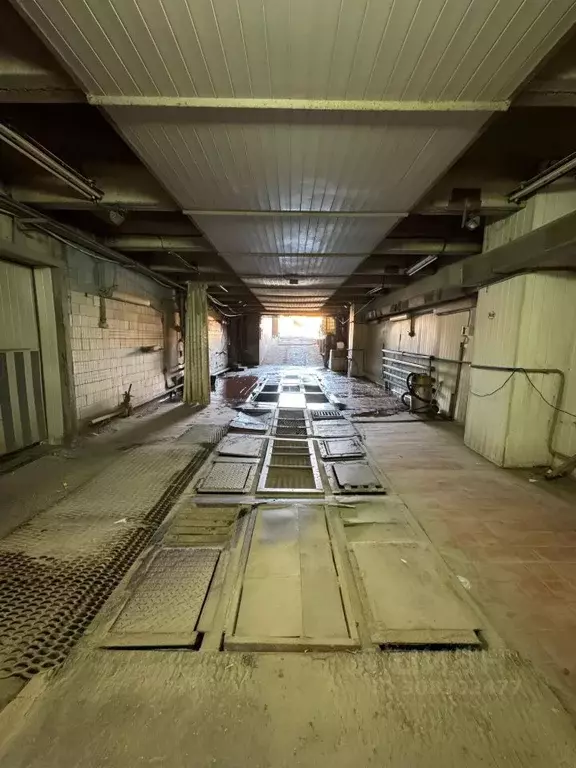 Помещение свободного назначения в Волгоградская область, Волгоград ... - Фото 2