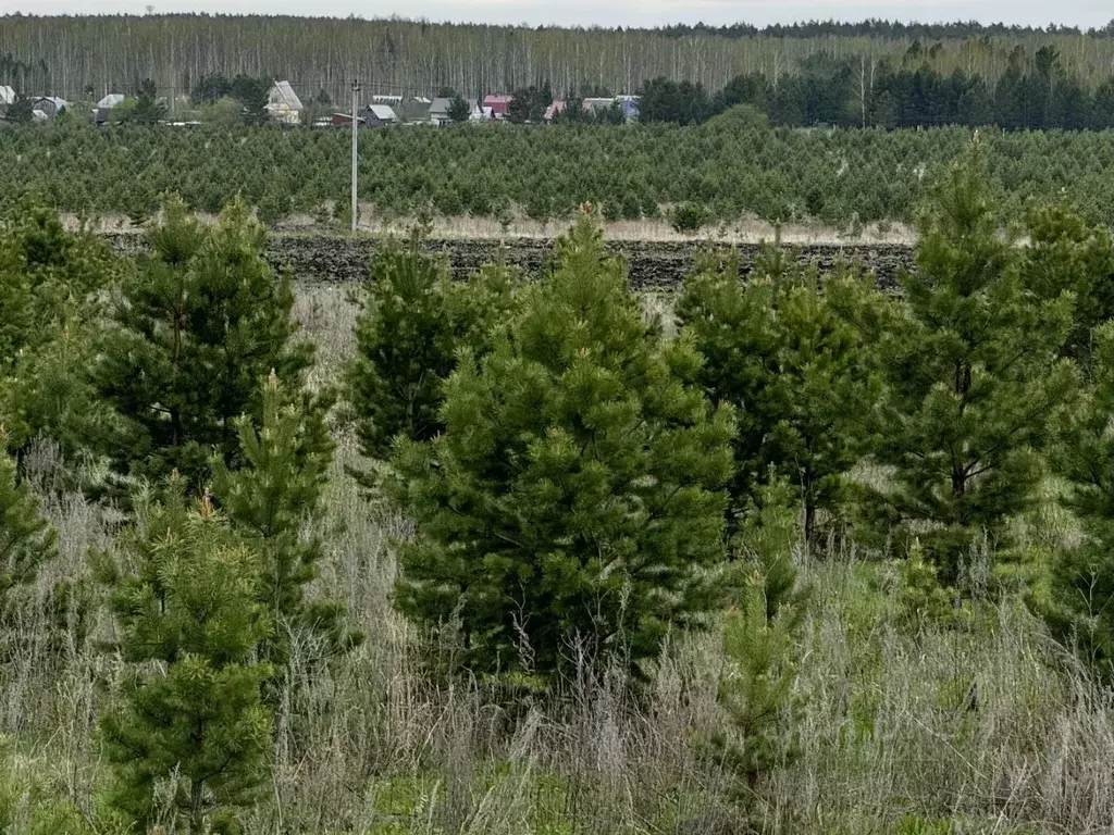 Участок в Свердловская область, Белоярский муниципальный округ, Долина ... - Фото 1