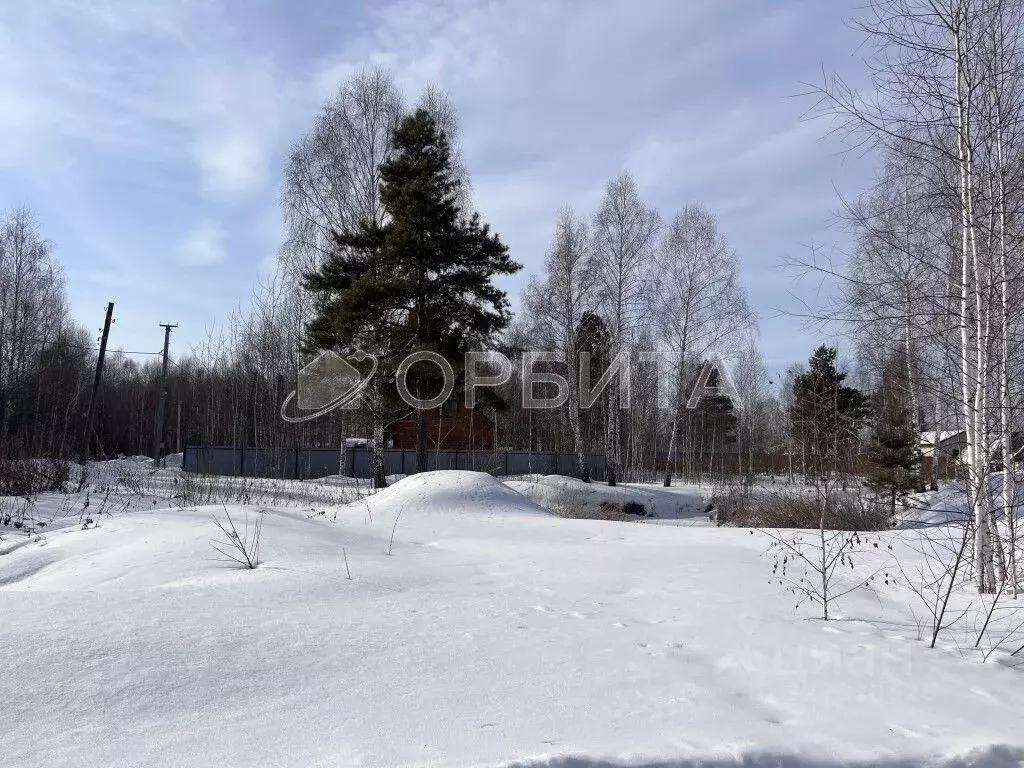 Участок в Тюменская область, Нижнетавдинский муниципальный округ, ... - Фото 2