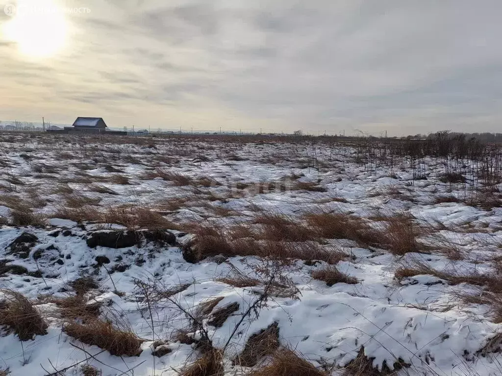 Участок в деревня Кайбалы, улица Победы (11.4 м) - Фото 1