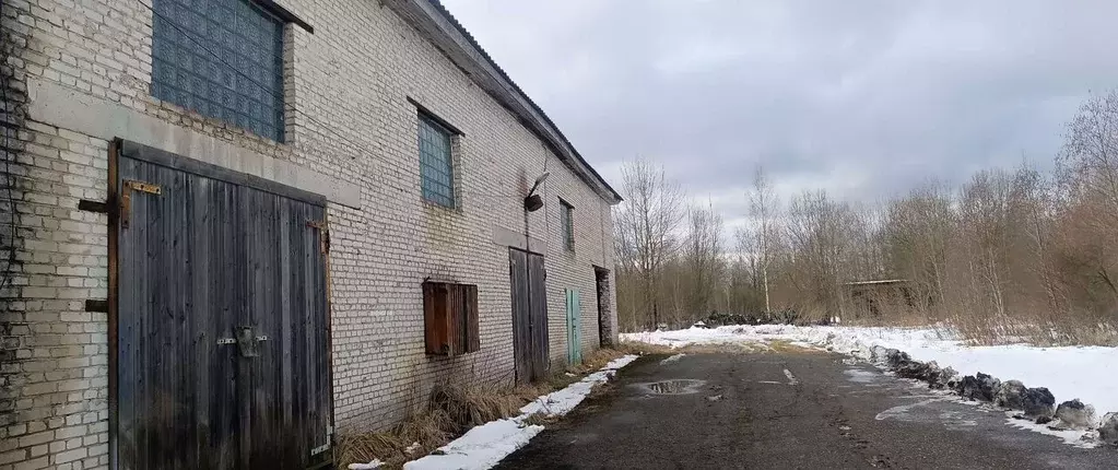 Производственное помещение в Ленинградская область, Любань Тосненский ... - Фото 2