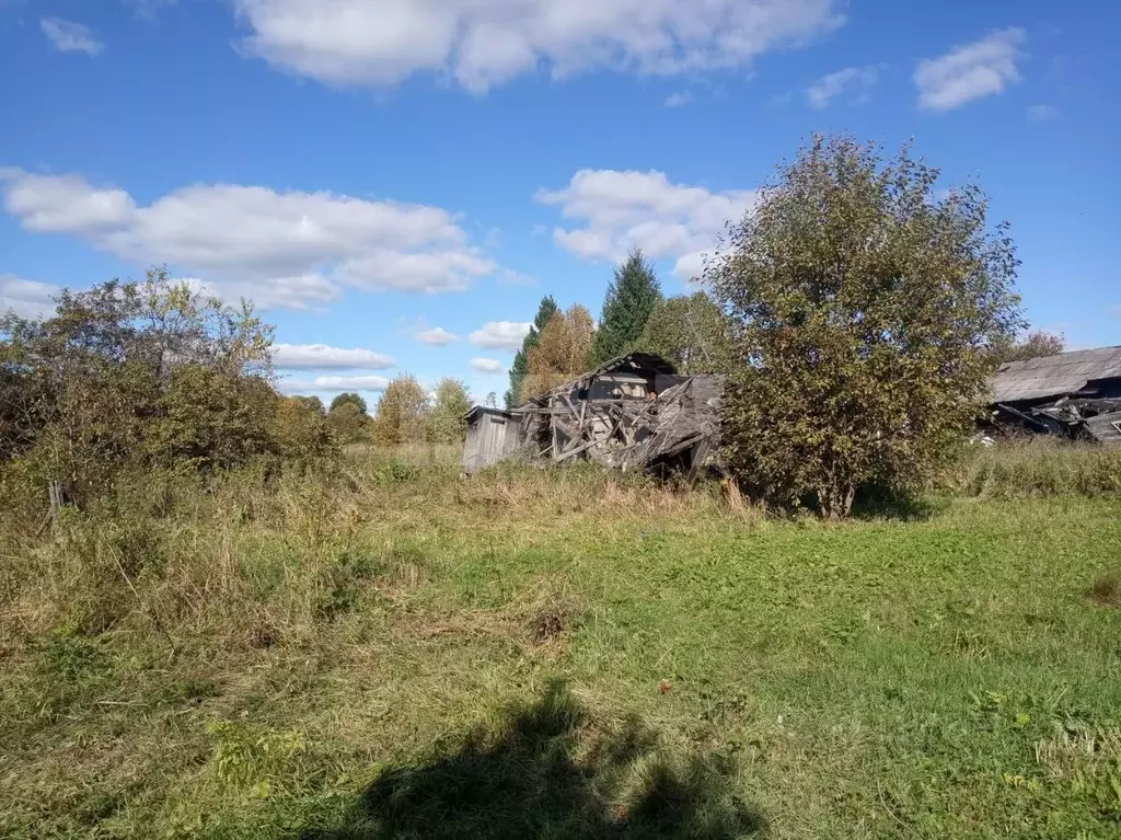 Участок в Вологодская область, Сокольский муниципальный округ, д. ... - Фото 2