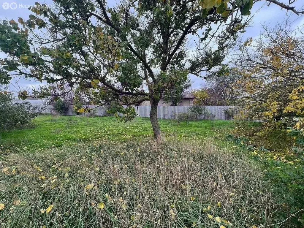 Дом в Калиновка, улица Комарова (45 м) - Фото 1