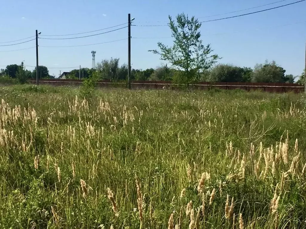 Участок в Волгоградская область, Среднеахтубинский район, Фрунзенское ... - Фото 2