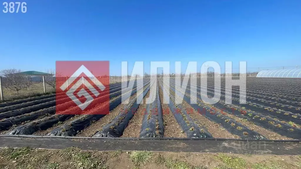 Участок в Крым, Кировский район, Журавское с/пос, с. Тутовка ул. Бахт, ... - Фото 2