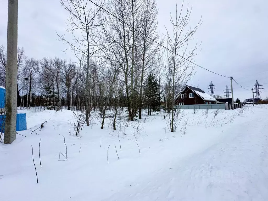 Участок в Алтайский край, Первомайский район, с. Санниково ул. ... - Фото 1