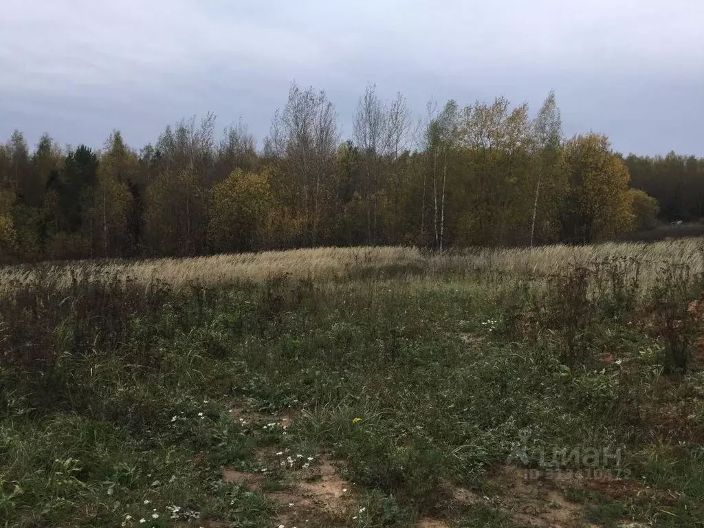 Участок в Московская область, Сергиево-Посадский городской округ, д. ... - Фото 0