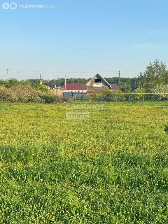 Участок в Медведевский район, Шойбулакское сельское поселение, деревня ... - Фото 1