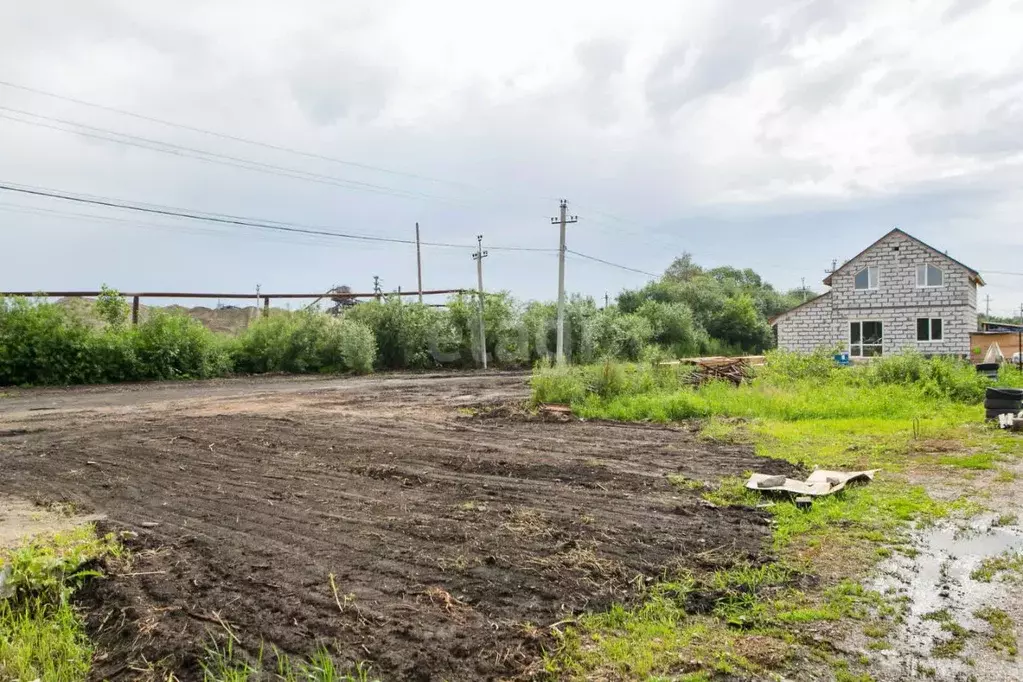 Участок в Новосибирская область, Новосибирский район, Кудряшовский ... - Фото 1