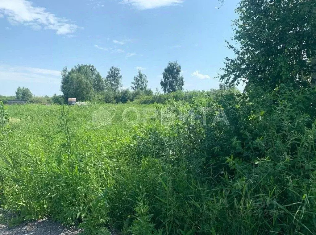 Участок в Тюменская область, Нижнетавдинский район, Строитель ТСН  ... - Фото 1