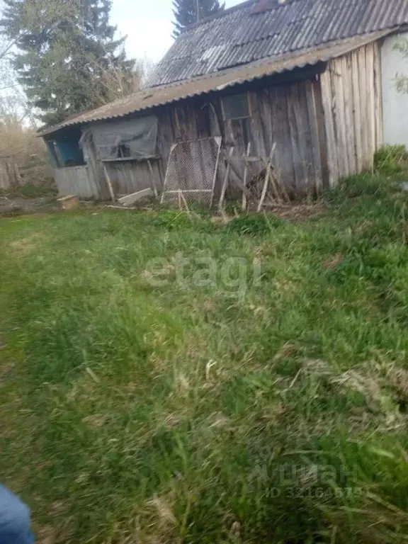 Участок в Алтайский край, Алтайский район, с. Алтайское ул. Восточная, ... - Фото 1